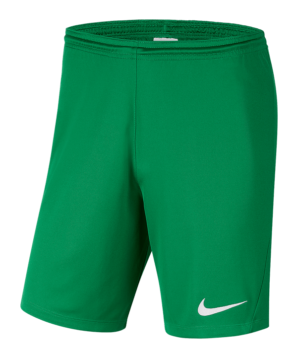 NIKE Park III Shorts (302) - gruen