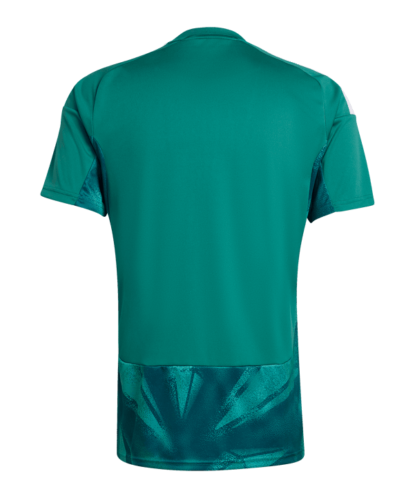 adidas DFB Deutschland Torwarttrikot Home WM 2026 Grün - gruen