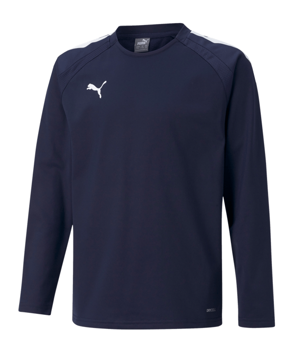 PUMA teamLIGA Sweatshirt Kids Blau (006) - blau