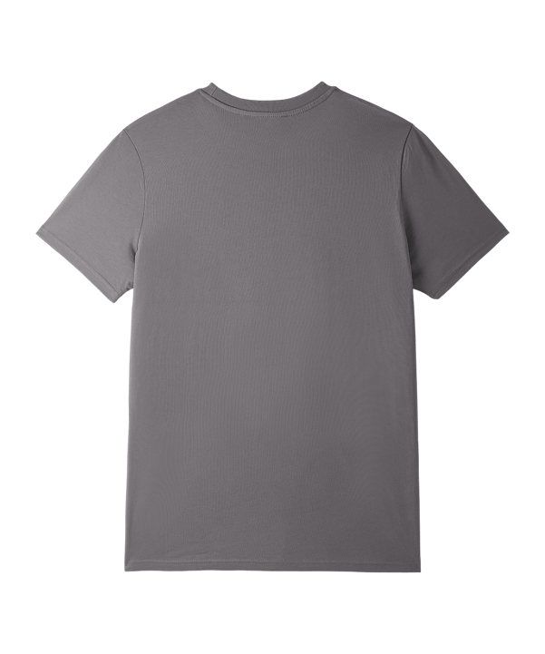 Galatasaray Istanbul Galatasaray Istanbul 5 Stars T-Shirt Grau - grau