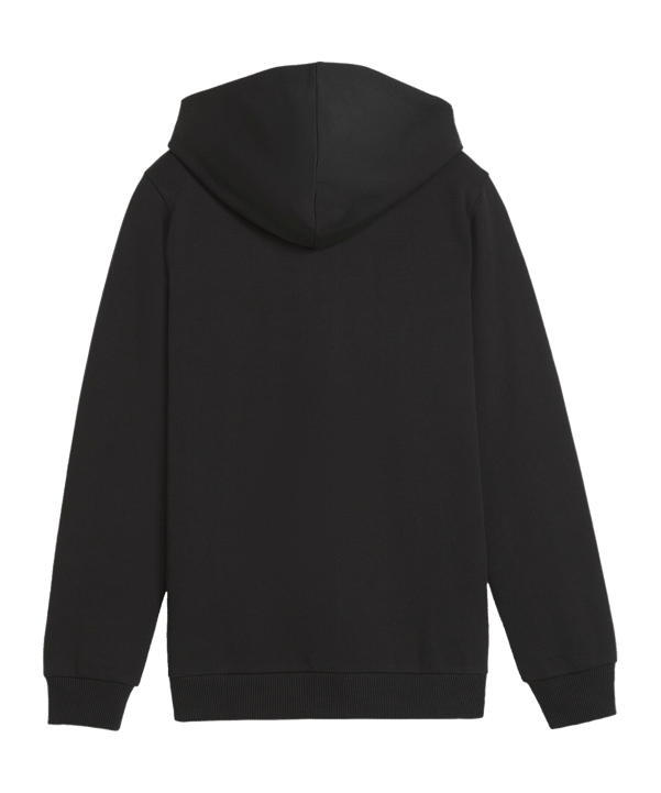 PUMA teamGOAL Casuals Kapuzenjacke Kids F03 - schwarz