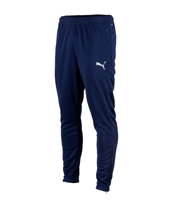 PUMA teamRISE Poly Training Pants (006) - blau