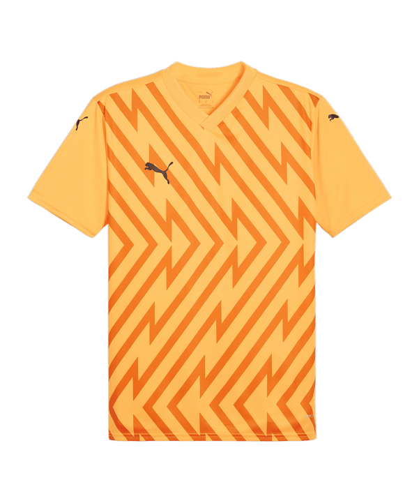 PUMA teamGLORY Trikot Orange Schwarz F61 - orange