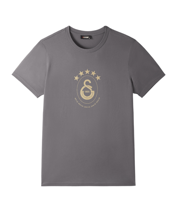 Galatasaray Istanbul Galatasaray Istanbul 5 Stars T-Shirt Grau - grau